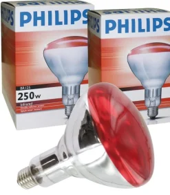 Sale Ampoule infrarouge Philips 250W Matériel D'Écurie