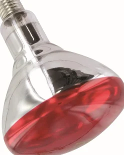 Sale Ampoule infrarouge Philips 250W Matériel D'Écurie