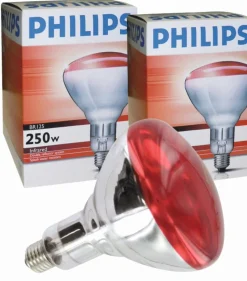 Discount Ampoule rouge Philips Matériel D'Écurie