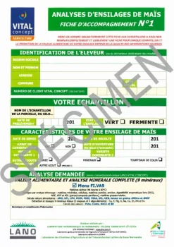 Clearance Analyse de maïs fourrage Conservation Des Fourrages