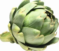 Clearance Artichaut - Poudre - 1kg Aliments Complémentaires