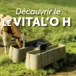 Sale Bac Vital'O Haut débit Abreuvoirs D'Extérieur