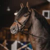 Best Bridon Easy Mors - T. pur-sang Filets & Bridons