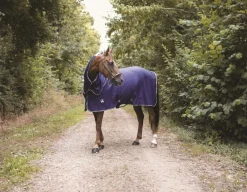 New Chemise séchante - Horsewin Chemises