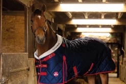 New Couverture d'écurie 400g/m² - Horsewin Premium Bordeaux Couvertures