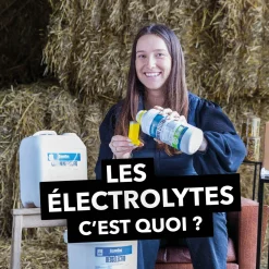 Clearance Curcumine électro - liquide Aliments Complémentaires