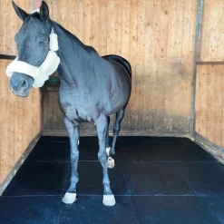 Clearance Dalle de box - Paddock Dalles & Géotextiles|Dalle & Matelas De Box