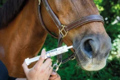Best Déosélectro - poudre et pâte Aliments Complémentaires