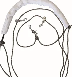 Enrênement à poulies - T. cheval Travail À La Longe & Voltige