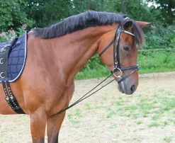 Best Enrênement élastique réglable Enrênements