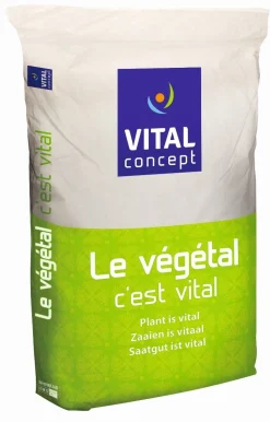 Best Fétuque élevée Rostuque - 10kg Semences Fourragères
