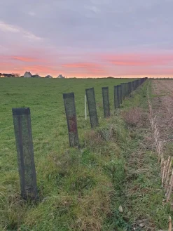 New Gaine de protection BrocarStop GP Aménagement Extérieur