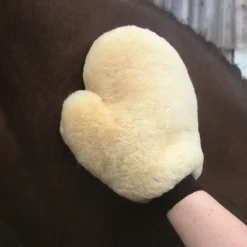 Online Gant de pansage et lustrage Pansage