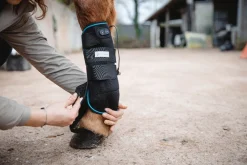 Hot Guêtre de soins W-Health & Care - T.Cheval - 1 pièce Soins Des Membres