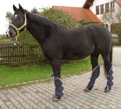 Guêtres de transport - T. cheval - 4 pièces Protections De Transport