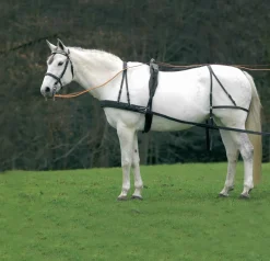 Harnais attelage économique Attelage