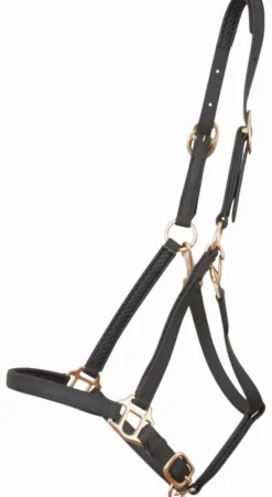 New Licol Biotack - T. Cheval Licols Et Longes