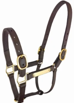 Sale Licol Biotack - T. cheval - marron Licols Et Longes