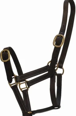 Online Licol cuir - Latigo/Celtic Equine Licols Et Longes