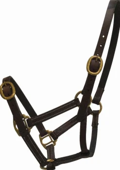 Online Licol cuir - Latigo/Celtic Equine Licols Et Longes