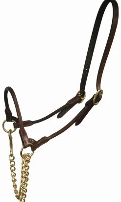 Licol de présentation Présentation En Main|Licols Et Longes