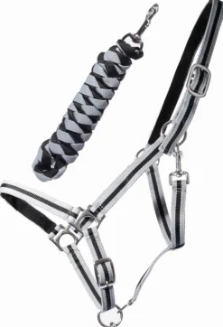 Outlet Licol et longe nylon doublé cuir Licols Et Longes