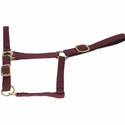 New Licol nylon doublé cuir Licols Et Longes