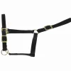 Licol nylon doublé cuir - T. cheval de trait Attelage|Licols Et Longes