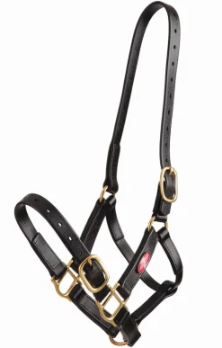 Licol synthétique - Zilco Licols Et Longes