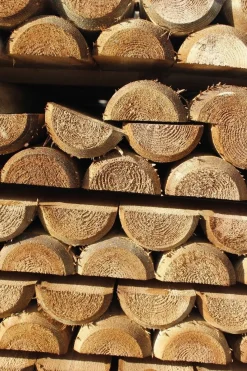 Best Lisse demi-rond en pin CL4 Piquets Bois