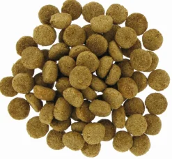 Outlet Mag Life Major Adult - 20kg Aliments Animaux De Compagnie