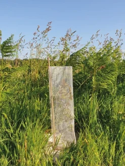 Hot Manchons anti-rongeurs biodégradables à maille carrée - Ø14cm - 60cm - 50 pièces Aménagement Extérieur