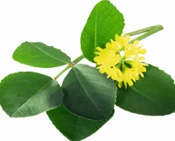 Hot Max Bloc Organic - 20kg Minéraux & Vitamines