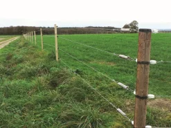 Piquet-tuteur rond en pin CL4 épointé Piquets Bois