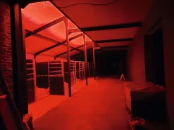 Sale Plafonnier d'écurie LED - Option veille de nuit Éclairage Des Écuries