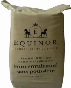 Discount Préfané Ray Grass Equinor Matières Premières