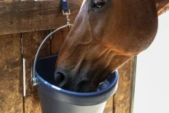 New Seau One Bucket - One Equestrian - 18L Distribution De La Ration