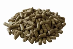 Sport GR Aliments Complets