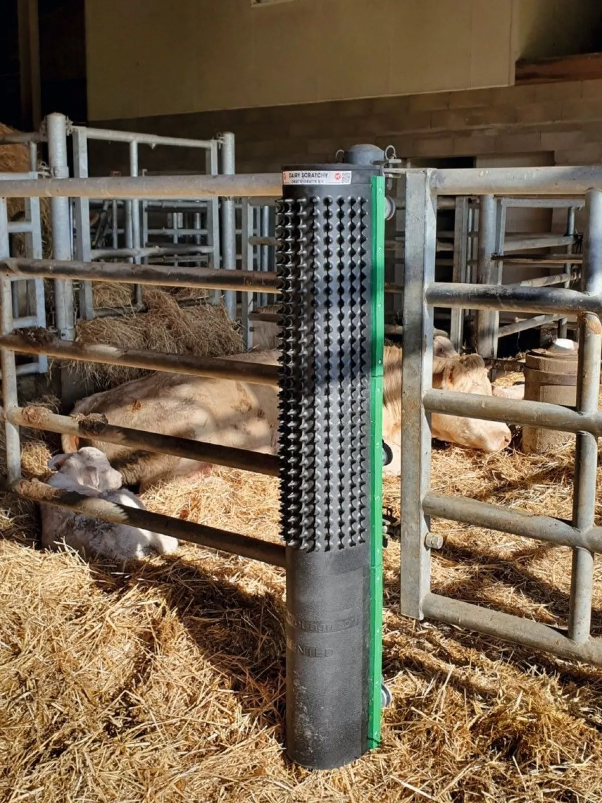 Hot Station de grattage - Grat'O Gratte Vertical Station De Grattage