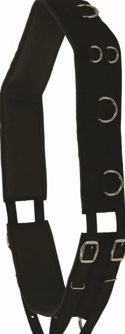 Surfaix de travail - T.Cheval - 13 anneaux Travail À La Longe & Voltige