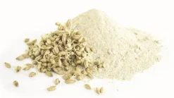 Sale Vitagerm D broyé - 20kg Matières Premières