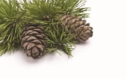 Outlet Vitasol - 5L Hygiène Des Locaux